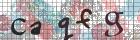 capcha