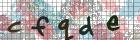 capcha